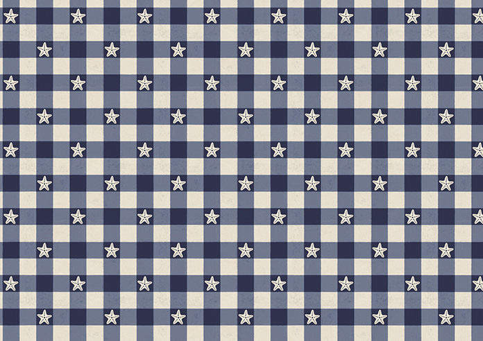 Whaley Great, Gingham Star Shore - Twist&Fit Roman Blind - Image 7
